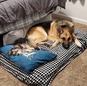 Meet your Posher, Roseann